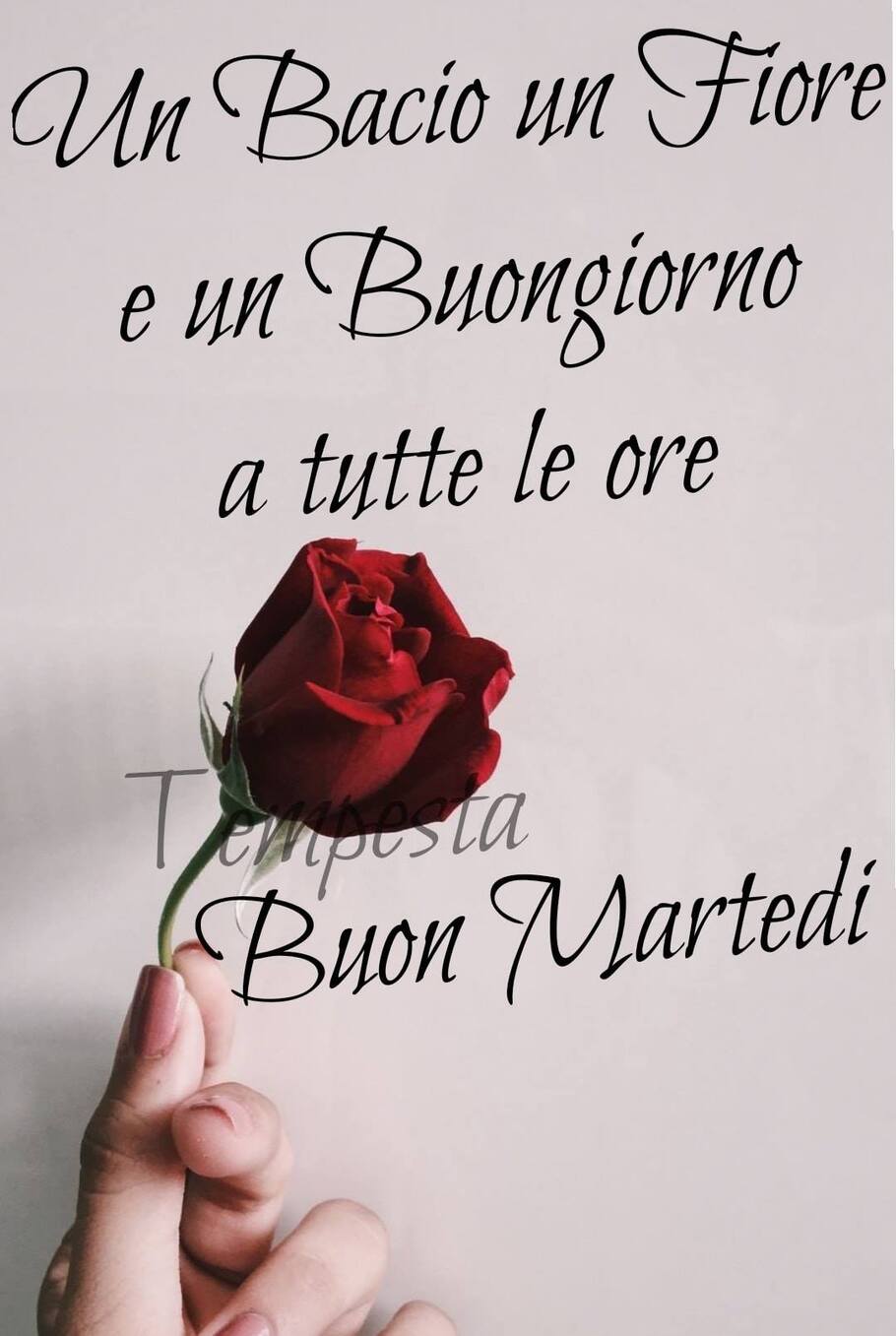 Le frasi più belle per augurare un buon martedì agli amici (1)