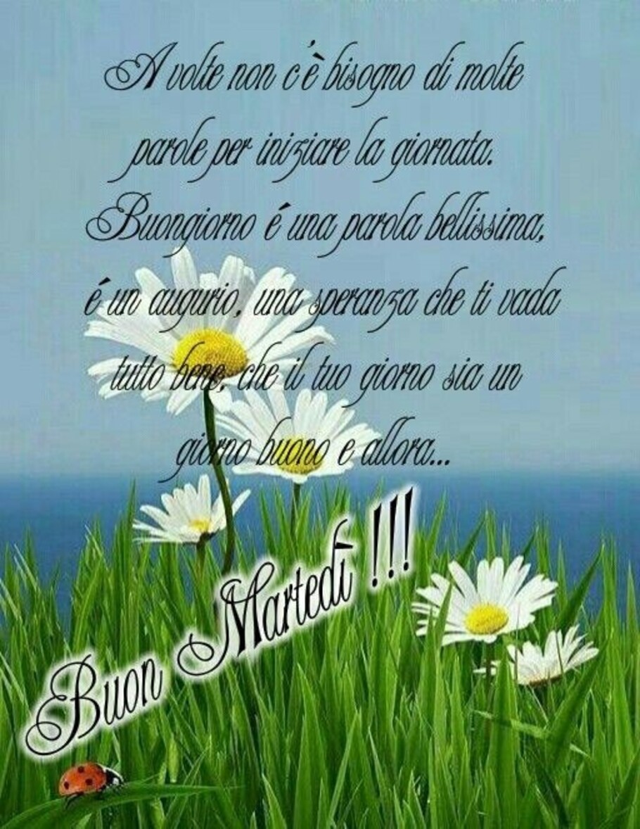 Le frasi più belle per augurare un buon martedì agli amici (5)