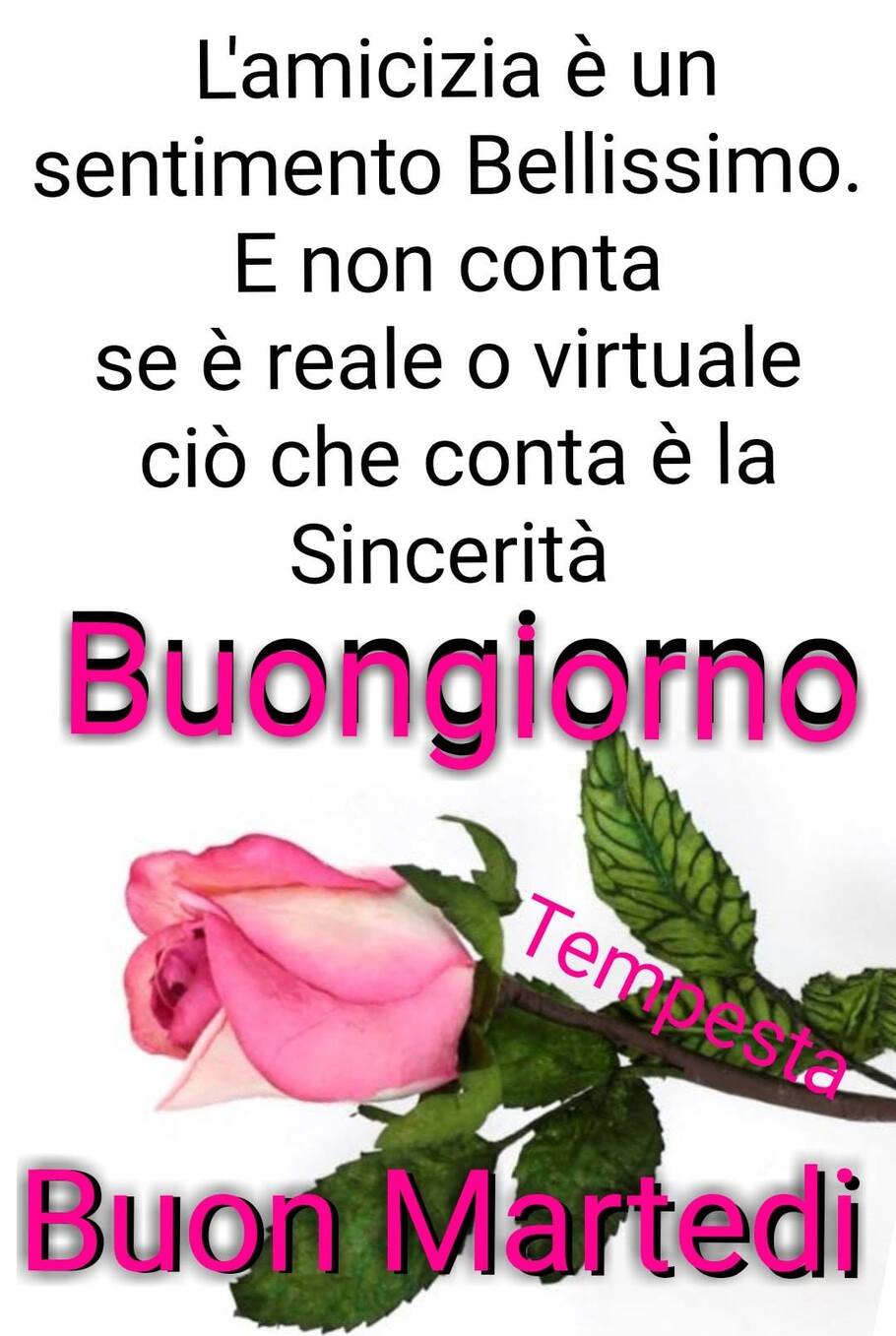 Le frasi più belle per augurare un buon martedì agli amici (7)