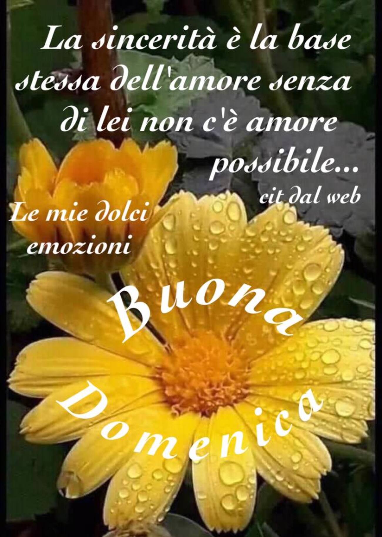 Le immagini più belle di buona domenica 5