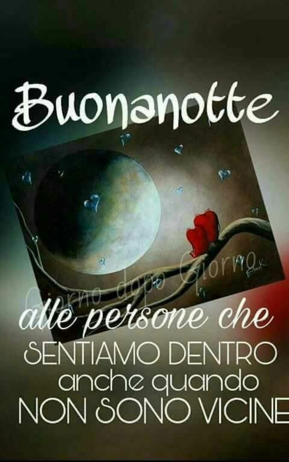 Link WhatsApp buonanotte 3