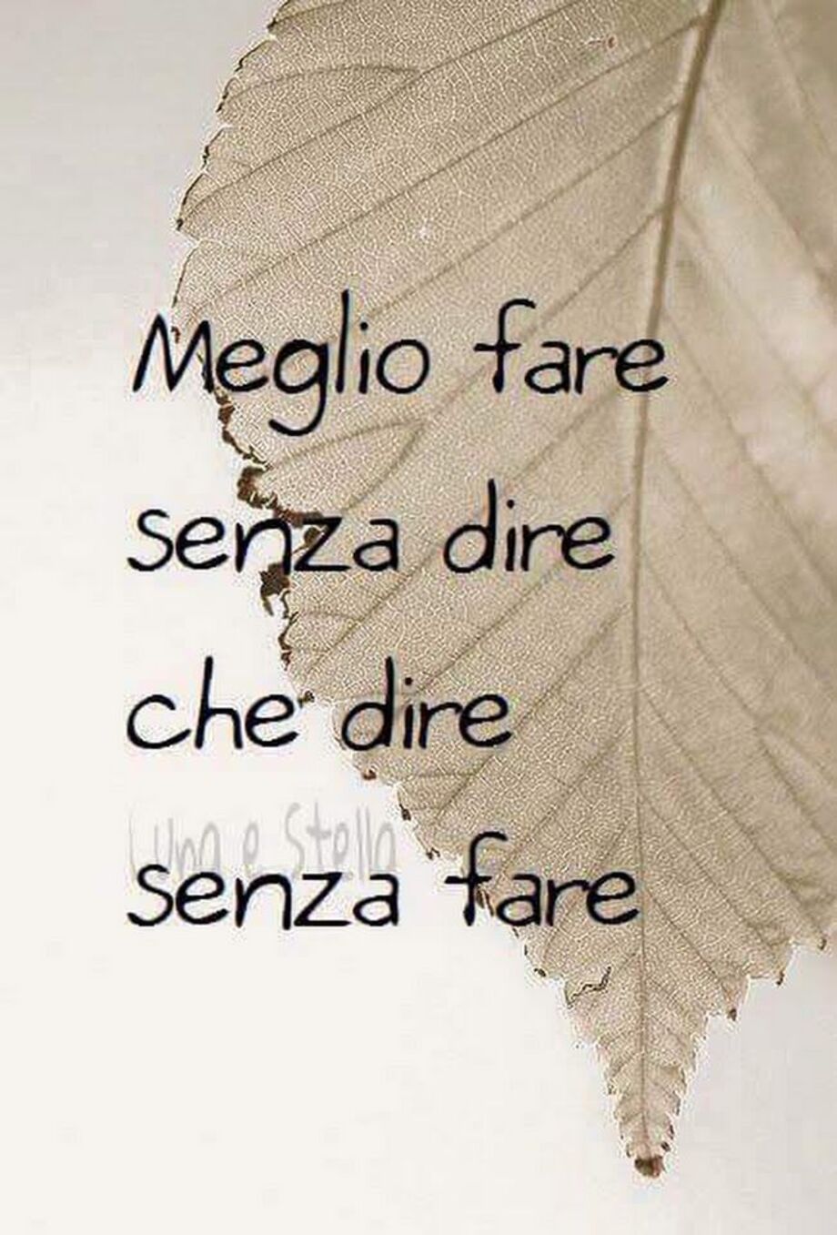 Meglio fare senza dire che dire senza fare