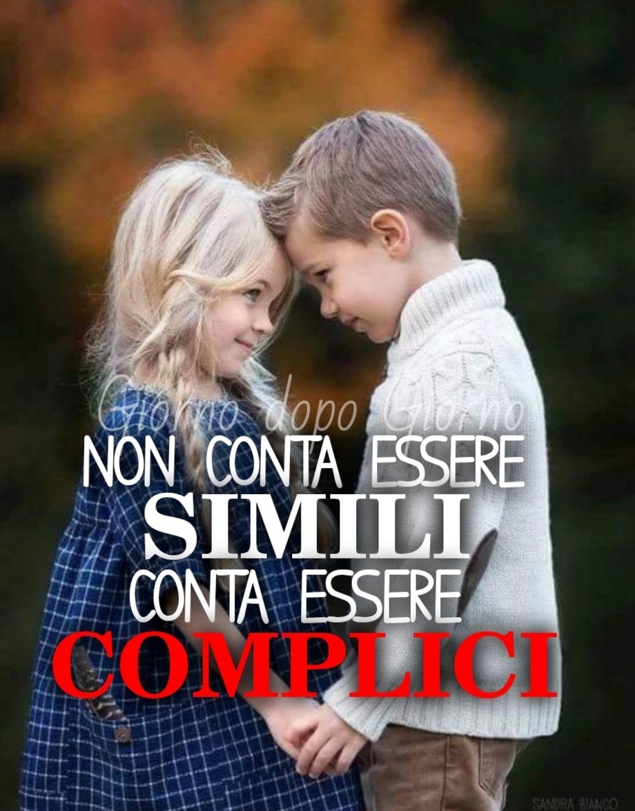 Non conta essere simili conta essere complici