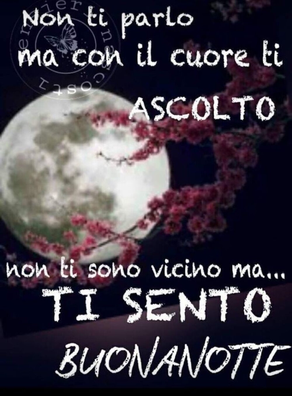 Non ti parlo ma con il cuore ti ascolto non ti sono vicino ma ti sento buonanotte