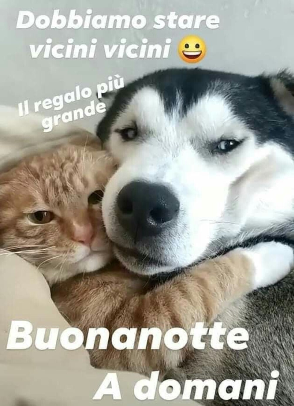 Tenere immagini per dire buonanotte (9)