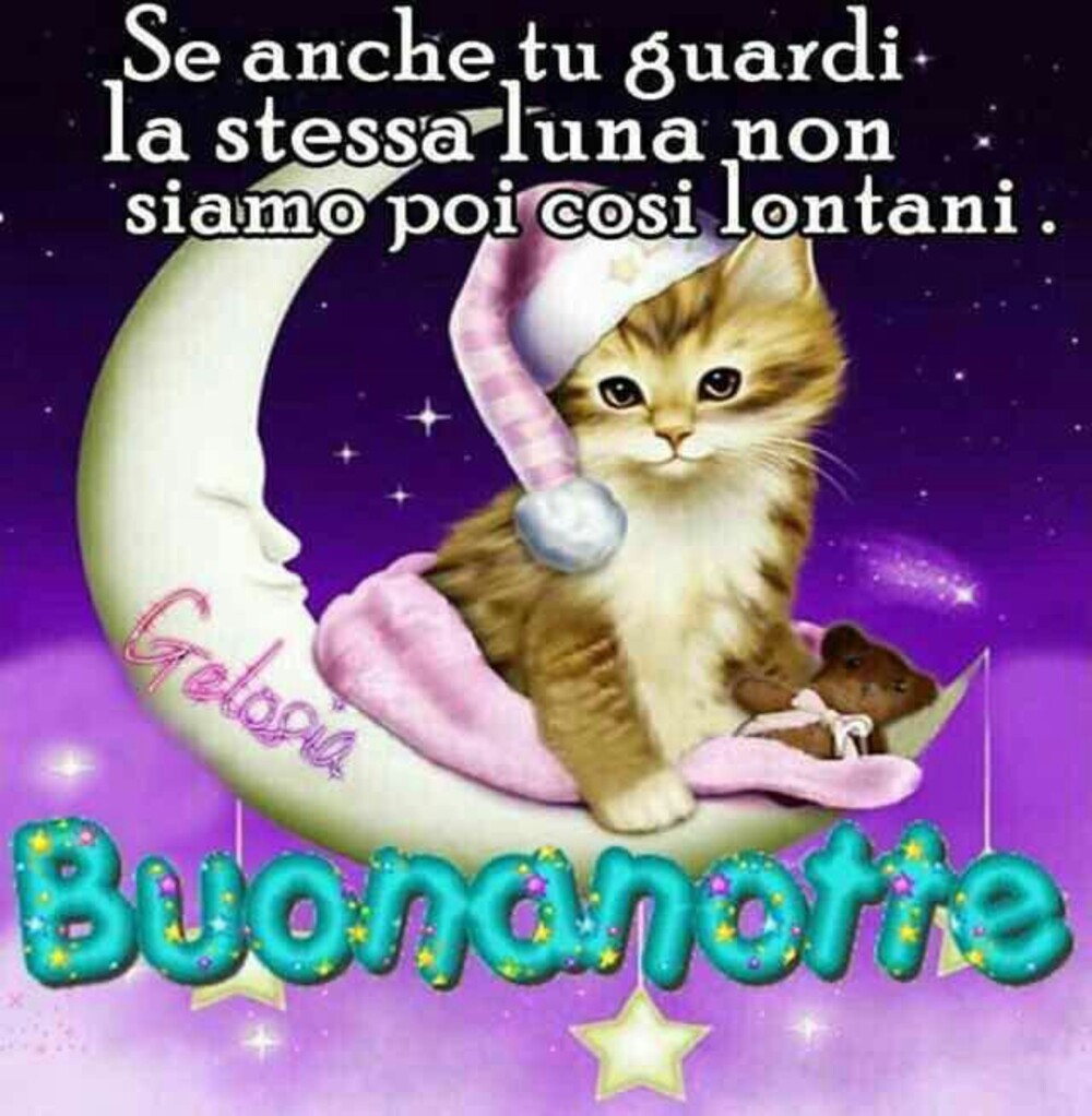 Ti voglio tanto bene buonanotte 11