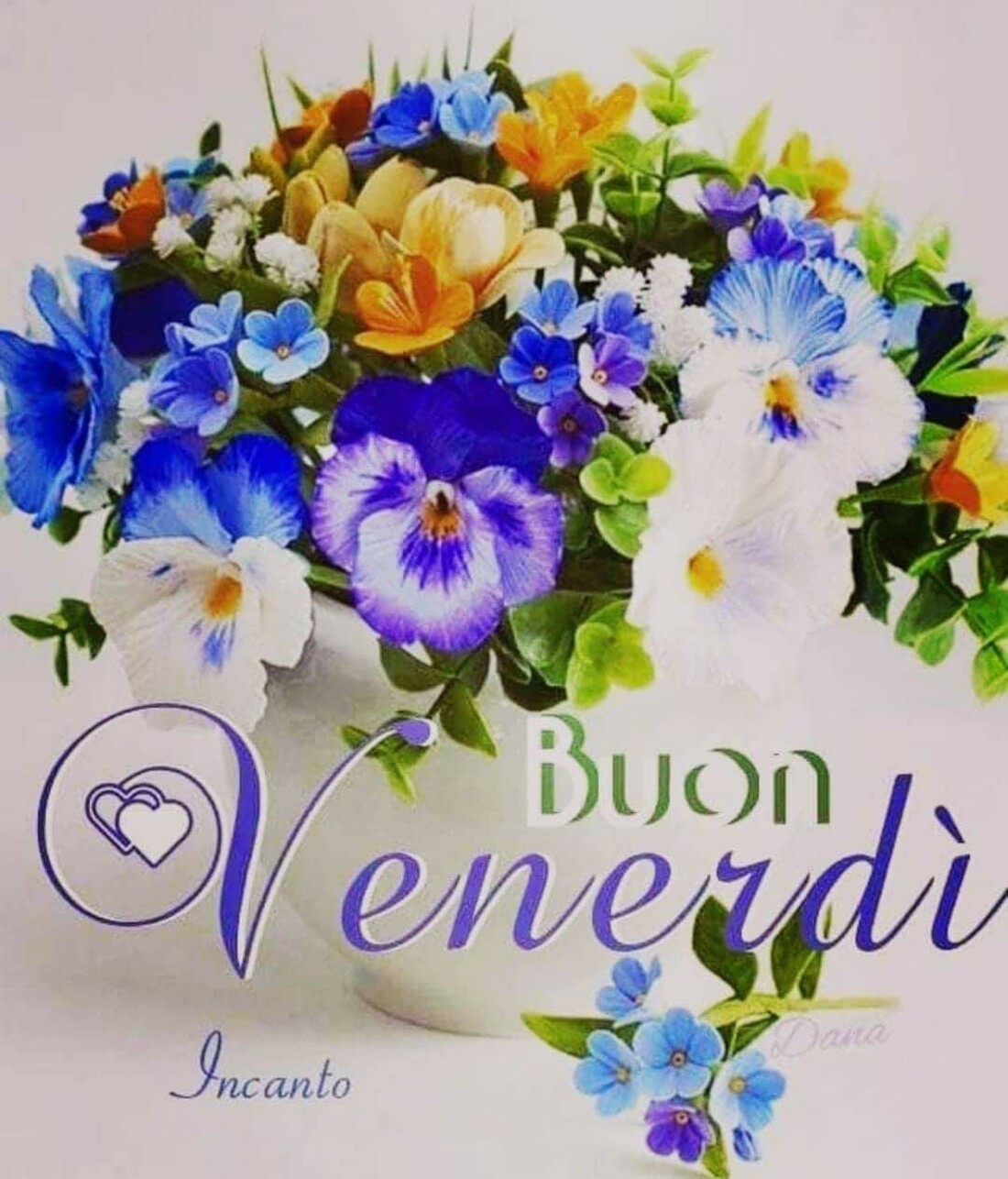 Venerdì 6