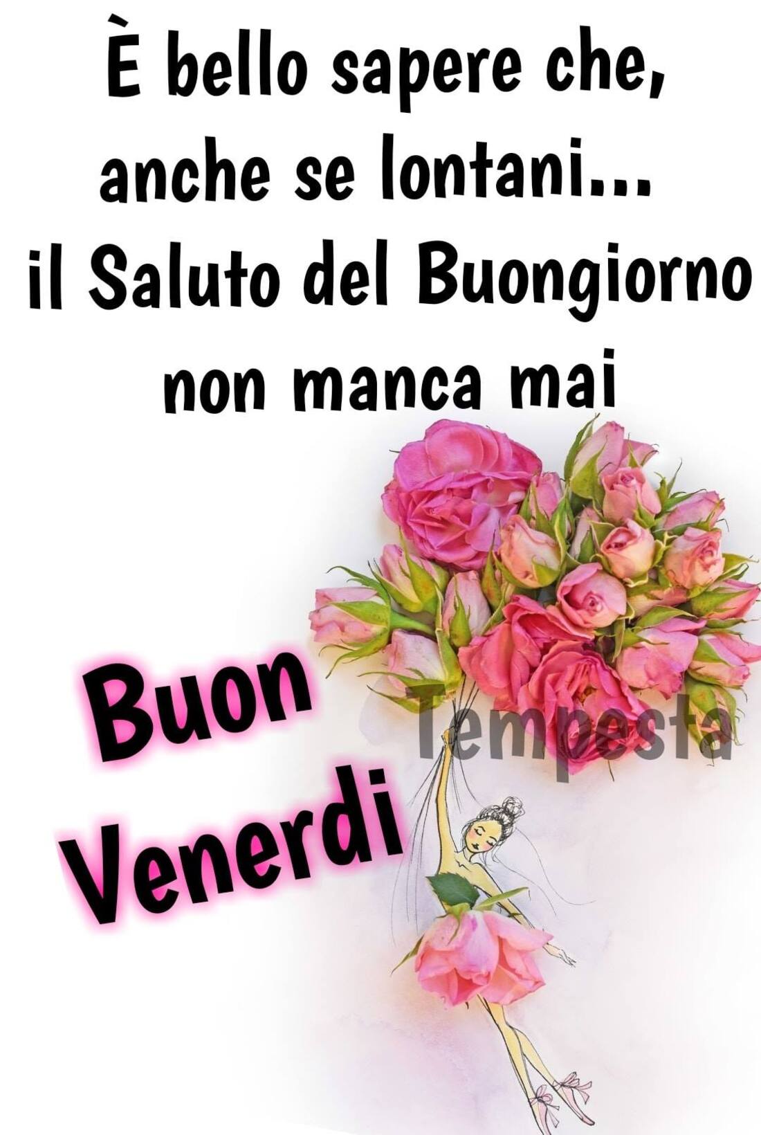 Venerdì 8