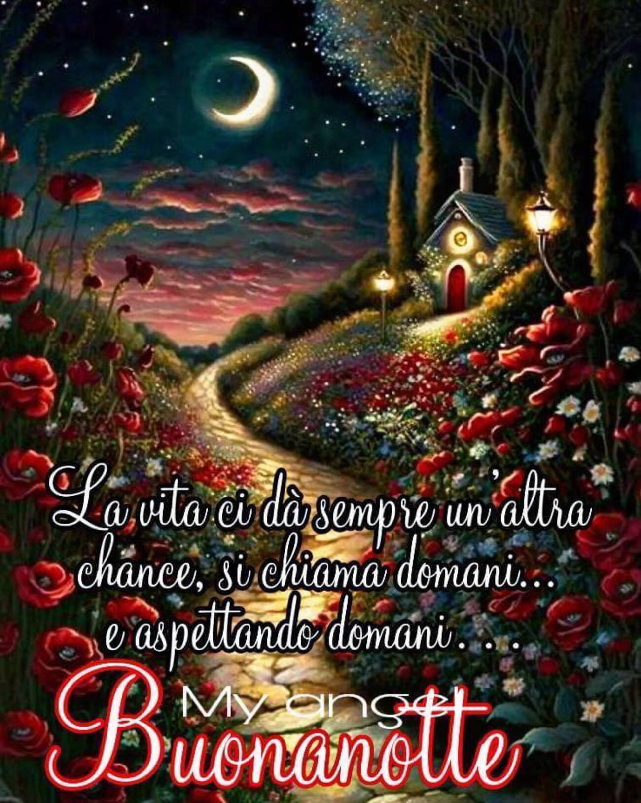 La vita ci dà sempre un'altra chance si chiama domani buonanotte