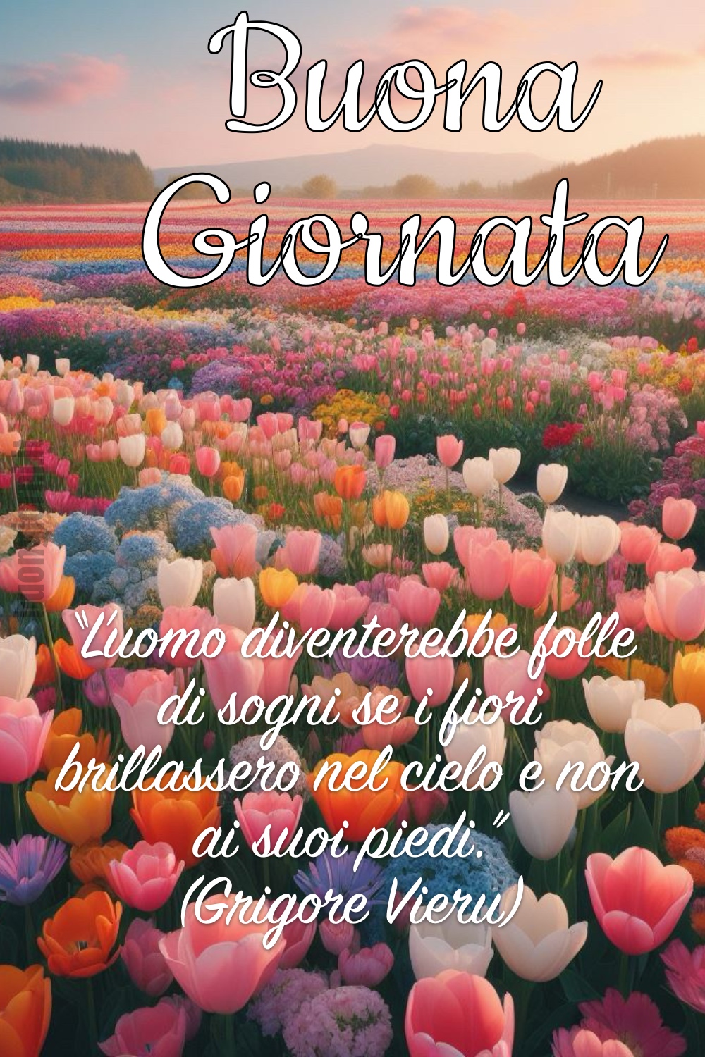 Una bella frase per iniziare la giornata