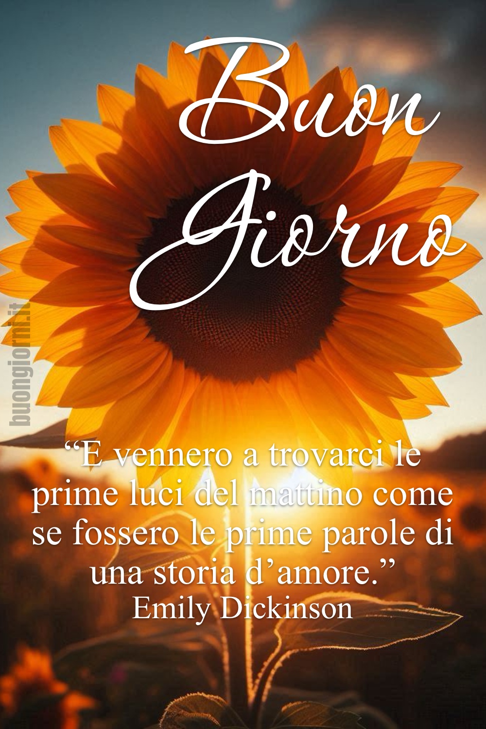 Buon Giorno. “E vennero a trovarci le prime luci del mattino come se fossero le prime parole di una storia d'amore.” Emily Dickinson