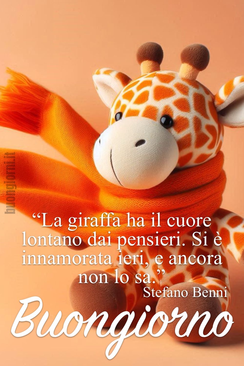 “La giraffa ha il cuore lontano dai pensieri. Si è innamorata ieri e ancora non lo sa.” Stefano Benni. Buongiorno